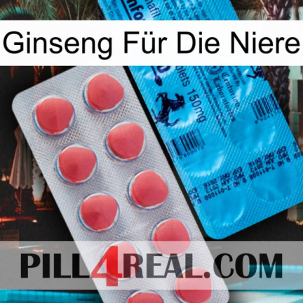 Ginseng Für Die Niere new14